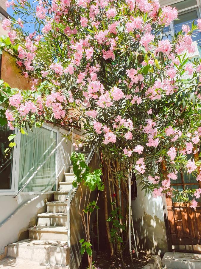 Bon Voyage Hostel Tbilisi Ngoại thất bức ảnh